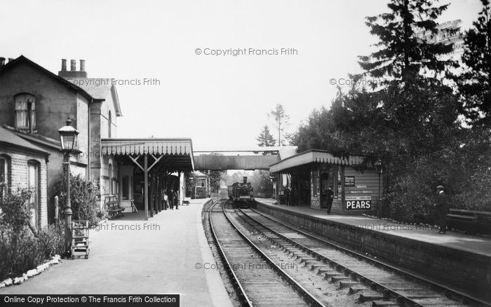 Photo of Cranleigh, Station 1908
