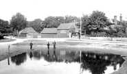 The Pond 1906, Cranleigh