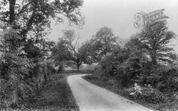 Black Dog Lane 1907, Crawley