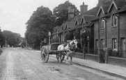 Horse And Cart, London Road 1907, Crawley