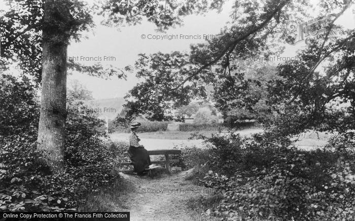 Photo of Crawley, Punch's Copse 1907