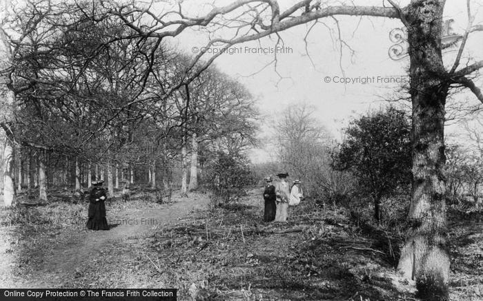 Photo of Crawley, The Hawth 1905
