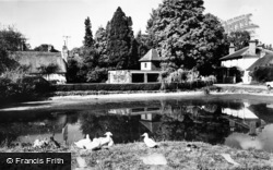 The Pond c.1960, Crawley