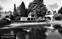 The Pond c.1960, Crawley
