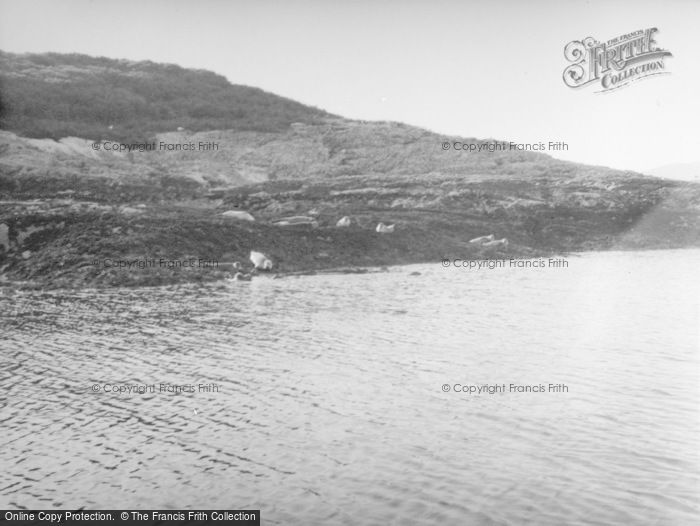 Photo of Creag Island, Seals On The Beach 1957