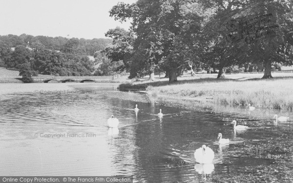Photo of Crediton, Shobrooke Park c.1955