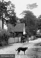 A Horse Carriage And A Dog 1909, Cressing