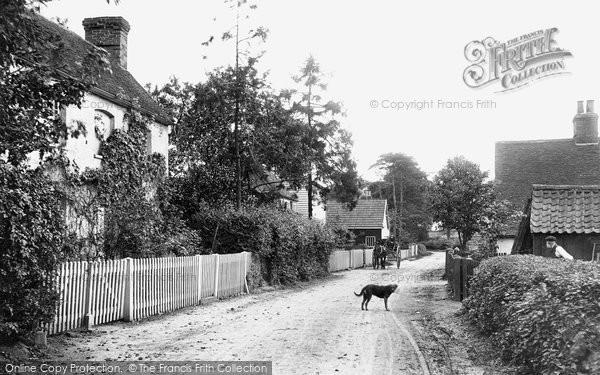 Photo of Cressing, The Street 1909