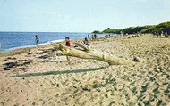 The Beach c.1965, Cresswell
