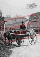 A Pony And Cart 1914, Crewkerne