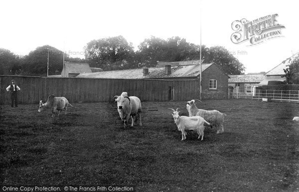 Photo of Crichel House, White Farm 1904 - Francis Frith