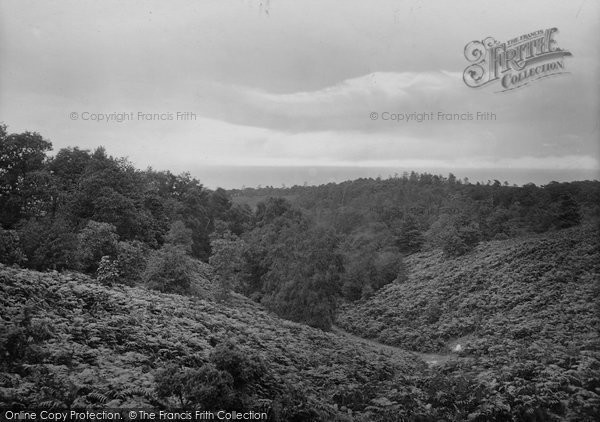 Photo of Cromer, The Glade Near Roman Emcampment 1922