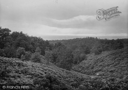 The Glade Near Roman Emcampment 1922, Cromer