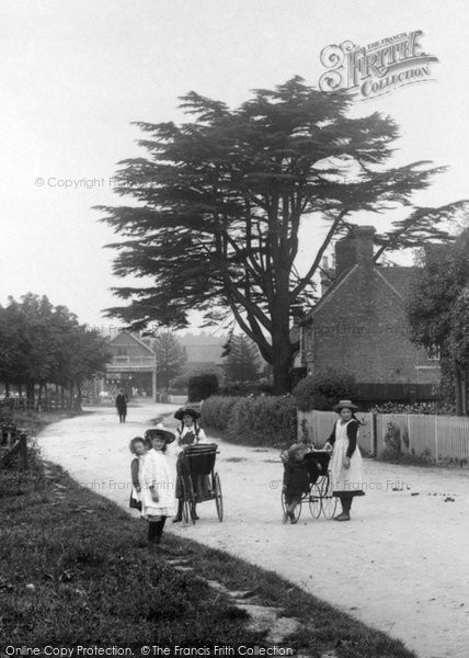 Photo of Crookham Village, Village Children 1910