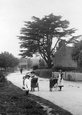 Village Children 1910, Crookham Village