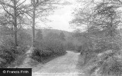 Pilmer Woods 1900, Crowborough