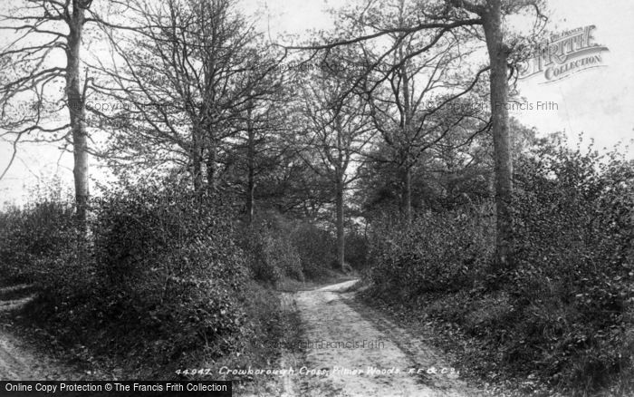 Photo of Crowborough, Pilmer Woods 1900