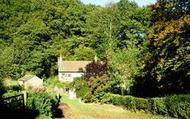 Cottage c.1990, Crowcombe