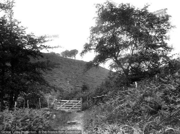 Photo of Crowcombe, The Quantock Gate 1929