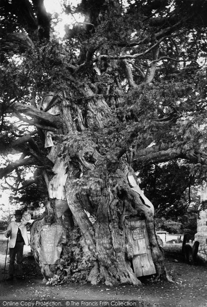 Photo of Crowhurst, Yew Tree 1907