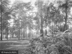 Broadmoor Woods 1931, Crowthorne