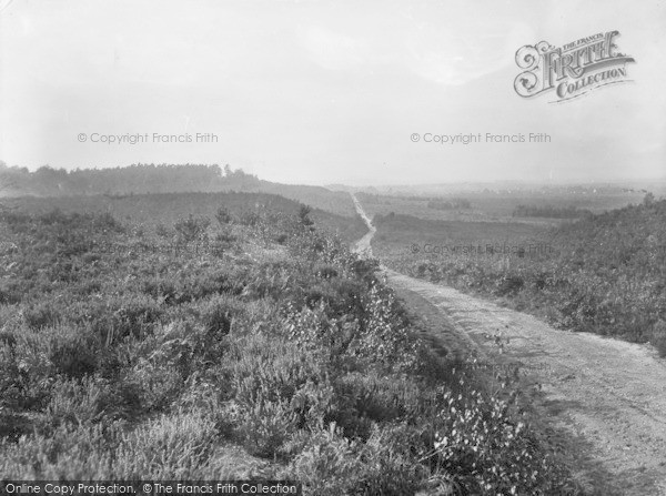 Photo of Crowthorne, The Woods 1931