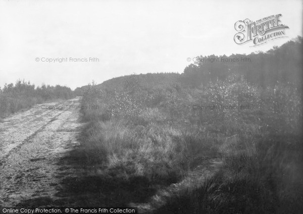 Photo of Crowthorne, The Woods 1931