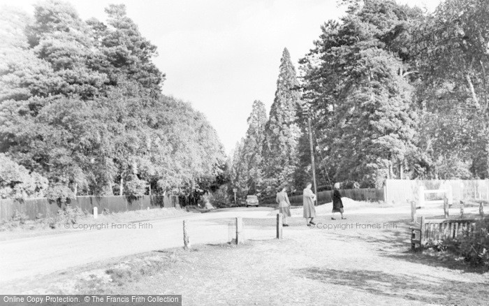 Photo of Crowthorne, Wellingtonia Avenue c.1955