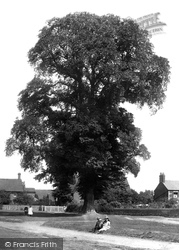 The Old Tree 1897, Croxley Green