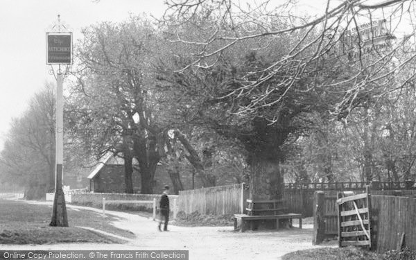 Photo of Croxley Green, The Old Tree 1903