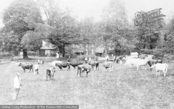 Photo of Croydon, Coombe Farm c.1900