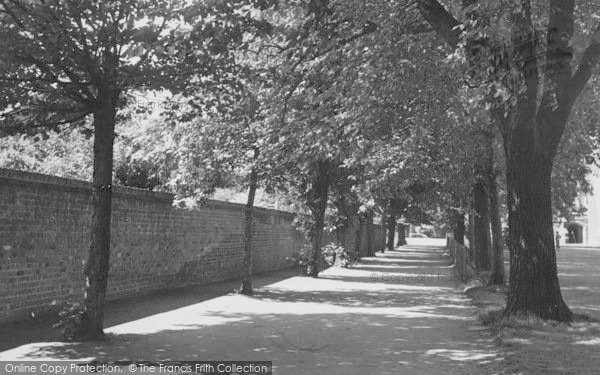 Photo of Croydon, Tree Walk, Whitgift Middle School c.1955 