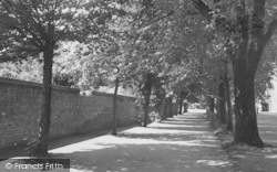 Tree Walk, Whitgift Middle School c.1955 , Croydon