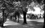 Croydon, Tree Walk, Whitgift Middle School c1955