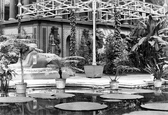 Tropical Department c.1886, Crystal Palace