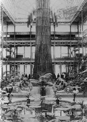 Wellingtonia Gigantea c.1862, Crystal Palace