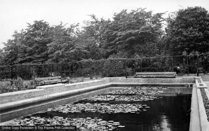 Photo of Cudworth, The Lily Pond c.1960