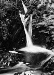 Waterfall c.1930, Cynwyd