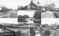 Composite c.1955, Daddry Shield