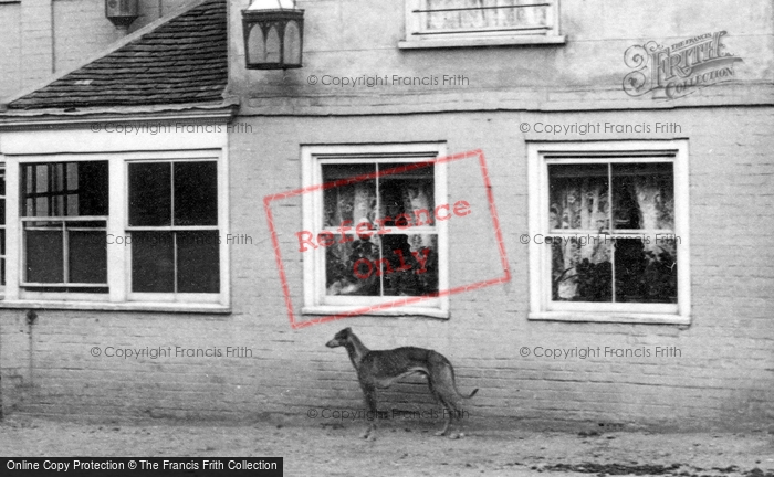 Photo of Danbury, A Hound By The Griffin Hotel 1903