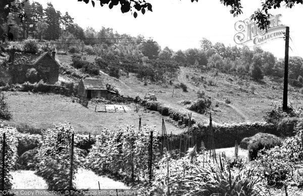 Photo of Danehill, View From Sunnybank c.1955