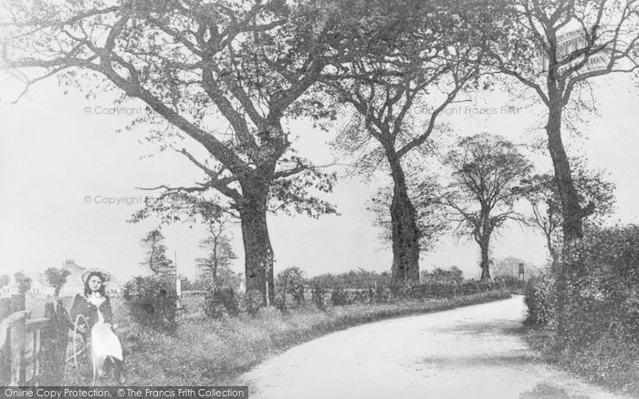 Photo of Dartford, Shepherd's Lane c.1890