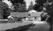 Badgers Holt c.1955, Dartmeet