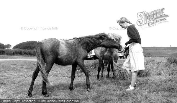 Photo of Dartmeet, Dartmoor Ponies c.1960