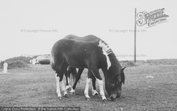 Photo of Dartmeet, Dartmoor Ponies c.1960