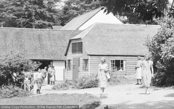 Photo of Dartmeet, Visitors, Badgers Holt c.1955