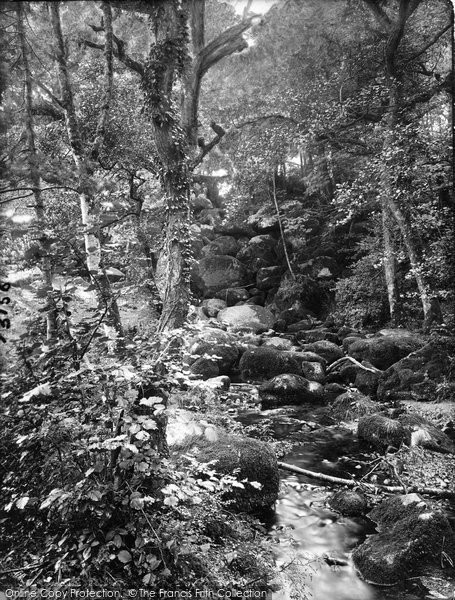 Photo of Dartmoor, Becky Falls 1922