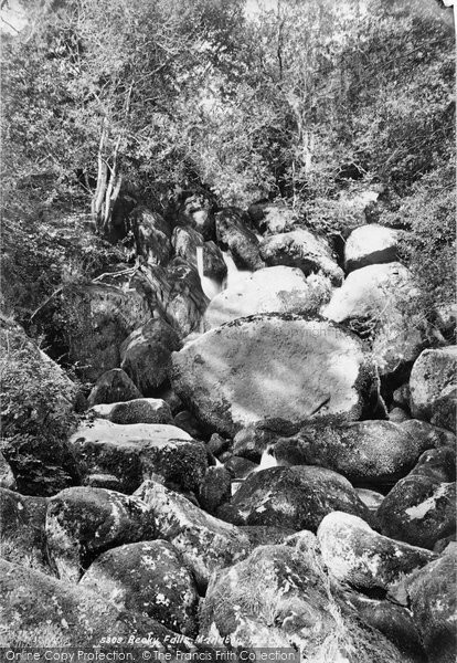 Photo of Dartmoor, Becky Falls c.1869