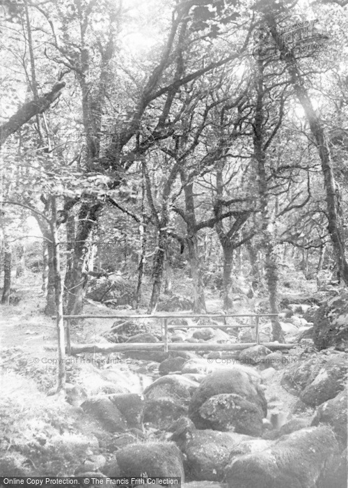 Photo of Dartmoor, Becky Falls c.1930