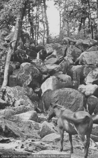 Photo of Dartmoor, Becky Falls c.1955